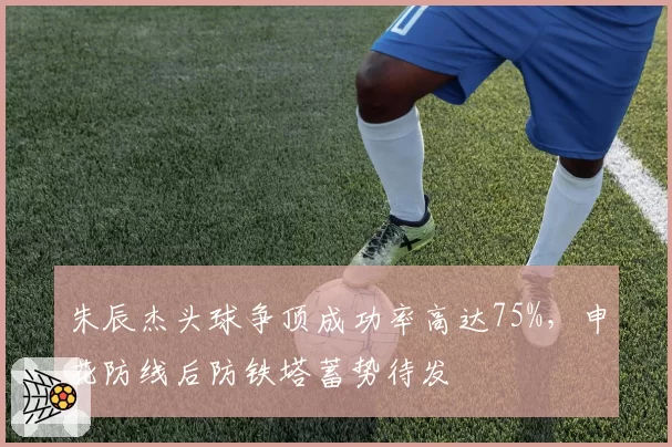 朱辰杰头球争顶成功率高达75%,申花防线后防铁塔蓄势待发