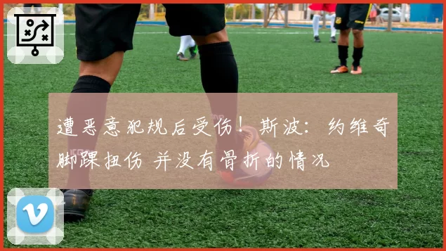 遭恶意犯规后受伤!斯波:约维奇脚踝扭伤 并没有骨折的情况